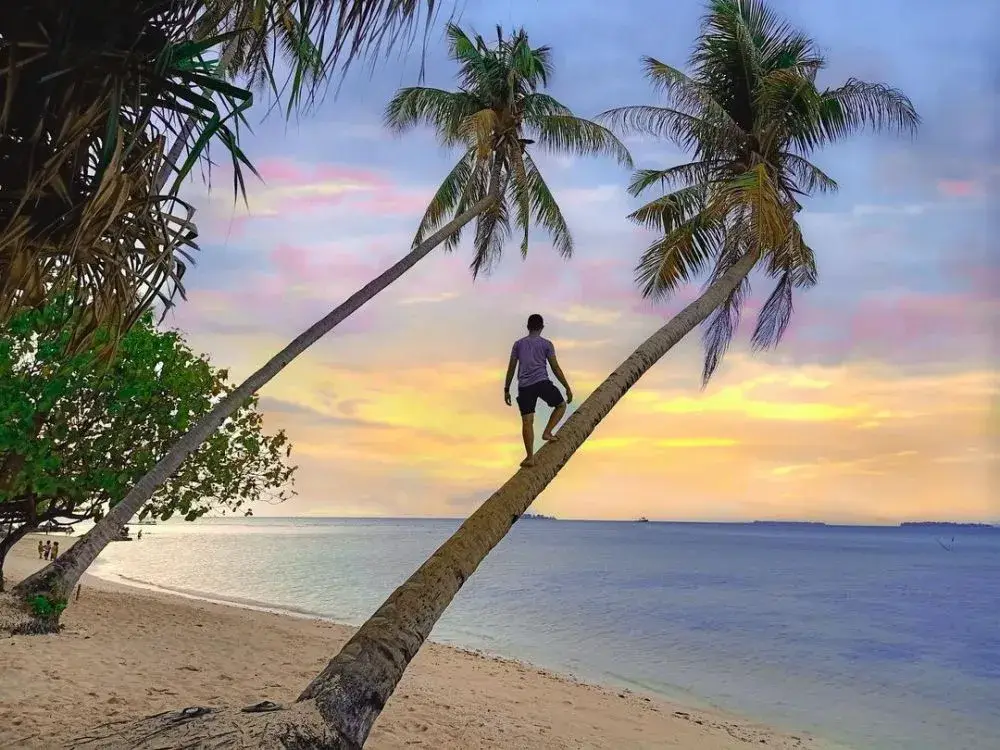 Karimunjawa Island Snorkeling Tour (3 Days 2 Nights) - Image 3