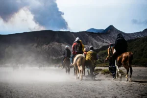 Mount Bromo, Ijen Crater and Tumpak Sewu Waterfall Tour from Yogyakarta Drop Bali (4 Days 3 Nights)